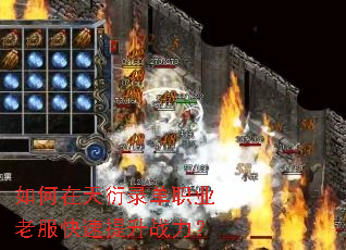 ���������¼��ְҵ�Ϸ���������ս����