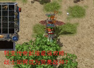 ��䴫���·���ǿ���ԣ�սʿ��γ�Ϊ����ս��