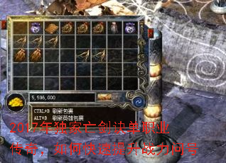 2017�������������ְҵ���棬��ο�������ս���ʺ�