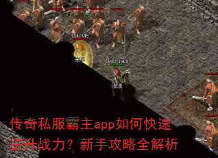 ����˽������app��ο�������ս�������ֹ���ȫ����