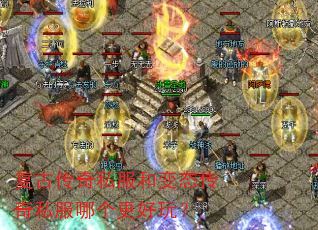 ���Ŵ���˽���ͱ�̬����˽���ĸ������棿