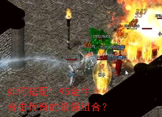 如何搭配1.95金牛合击传奇的最强组合? 如何搭配1.95金牛合击传奇的最强组合?