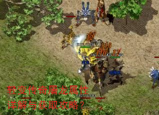 ��䴫����������������ȡ���ԣ�