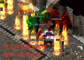 ��䴫����������������ȡ���ԣ�