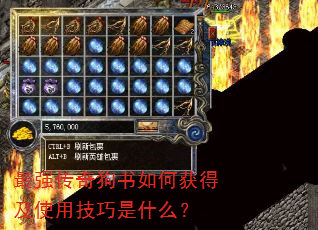 ��ǿ���湷����λ�ü�ʹ�ü�����ʲô��