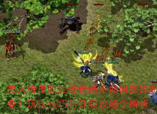 ���˴���ְҵ�����������ѡ��ְҵ���淨��������������ȫ����