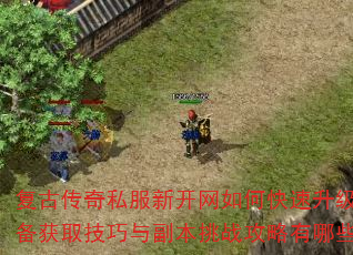 复古传奇私服新开网如何快速升级?装备获取技巧与副本挑战攻略有哪些? 复古传奇私服新开网如何快速升级?装备获取技巧与副本挑战攻略有哪些?