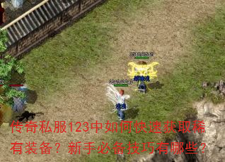 传奇私服123中如何快速获取稀有装备?新手必备技巧有哪些? 传奇私服123中如何快速获取稀有装备?新手必备技巧有哪些?