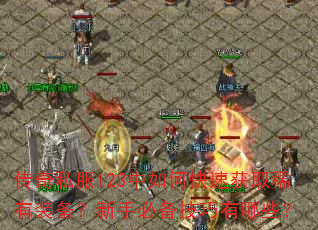 传奇私服123中如何快速获取稀有装备?新手必备技巧有哪些? 传奇私服123中如何快速获取稀有装备?新手必备技巧有哪些?