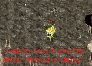 传奇私服123中如何快速获取稀有装备?新手必备技巧有哪些? 传奇私服123中如何快速获取稀有装备?新手必备技巧有哪些?