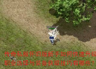传奇私服怀旧版新手如何快速升级?职业选择与装备获取技巧有哪些? 传奇私服怀旧版新手如何快速升级?职业选择与装备获取技巧有哪些?