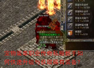 宠物蛋单职业传奇私服新手如何快速升级与获取稀有装备? 宠物蛋单职业传奇私服新手如何快速升级与获取稀有装备?