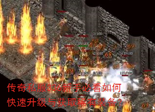 传奇私服336新手必看如何快速升级与获取稀有装备? 传奇私服336新手必看如何快速升级与获取稀有装备?