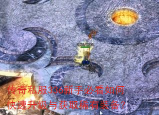 传奇私服336新手必看如何快速升级与获取稀有装备? 传奇私服336新手必看如何快速升级与获取稀有装备?