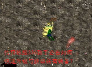 传奇私服336新手必看如何快速升级与获取稀有装备? 传奇私服336新手必看如何快速升级与获取稀有装备?