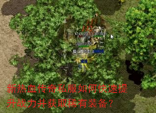 新热血传奇私服如何快速提升战力并获取稀有装备? 新热血传奇私服如何快速提升战力并获取稀有装备?