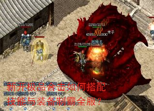 新开极品合击如何搭配技能与装备制霸全服? 新开极品合击如何搭配技能与装备制霸全服?