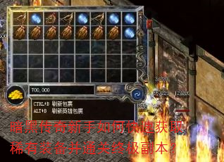 暗黑传奇新手如何快速获取稀有装备并通关终极副本? 暗黑传奇新手如何快速获取稀有装备并通关终极副本?