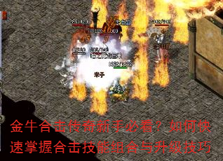 金牛合击传奇新手必看?如何快速掌握合击技能组合与升级技巧 金牛合击传奇新手必看?如何快速掌握合击技能组合与升级技巧