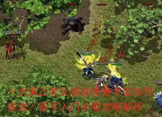 十大真正耐玩单机传奇平台如何挑选?新手入门必看攻略解析 十大真正耐玩单机传奇平台如何挑选?新手入门必看攻略解析