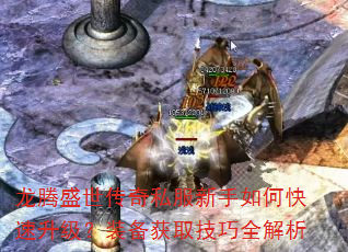 龙腾盛世传奇私服新手如何快速升级?装备获取技巧全解析 龙腾盛世传奇私服新手如何快速升级?装备获取技巧全解析