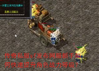 ����˽��sf��������������ο���������ɫս���ȼ���