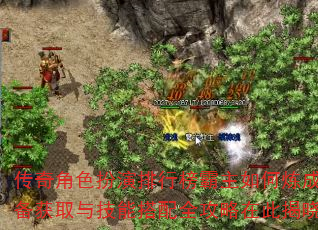 �����ɫ�������а����������ɣ�װ����ȡ�뼼�ܴ���ȫ�����ڴ˽�����