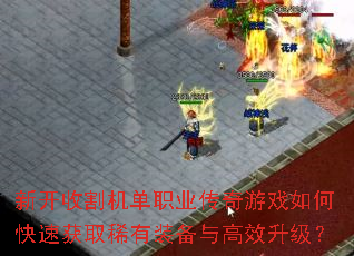 �¿��ո����ְҵ������Ϸ��ο��ٻ�ȡϡ��װ�����Ч������