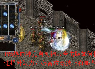 195热血神龙自创神兵合击版如何快速提升战力?必备攻略技巧有哪些? 195热血神龙自创神兵合击版如何快速提升战力?必备攻略技巧有哪些?