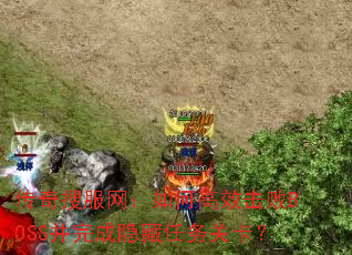 �����ѷ�������θ�Ч����BOSS�������������ؿ���