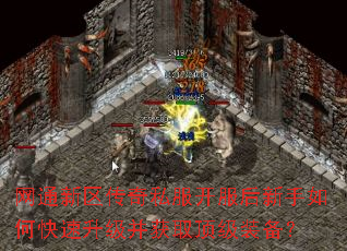 网通新区传奇私服开服后新手如何快速升级并获取顶级装备? 网通新区传奇私服开服后新手如何快速升级并获取顶级装备?