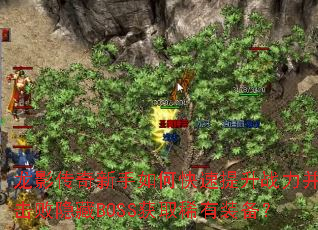 龙影传奇新手如何快速提升战力并击败隐藏BOSS获取稀有装备? 龙影传奇新手如何快速提升战力并击败隐藏BOSS获取稀有装备?