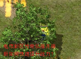 电信新区传奇私服开服后如何快速提升战力? 电信新区传奇私服开服后如何快速提升战力?