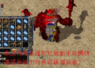 木瓜传奇私服耐玩版新手如何快速提升战力与获取稀有装备? 木瓜传奇私服耐玩版新手如何快速提升战力与获取稀有装备?
