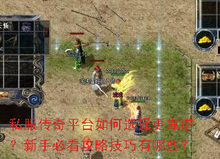私服传奇平台如何选择更靠谱?新手必看攻略技巧有哪些? 私服传奇平台如何选择更靠谱?新手必看攻略技巧有哪些?