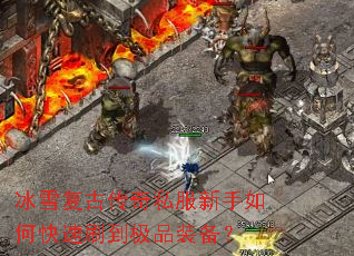 ��ѩ���Ŵ���˽��������ο���ˢ����Ʒװ����