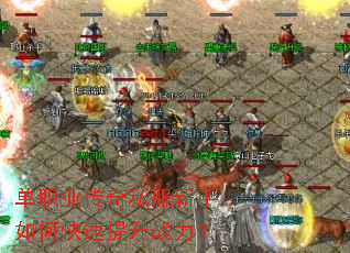 ��ְҵ����˽��������ο�������ս����