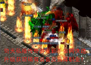 ����˽��������Ϸ������ο���������ȡϡ��װ����ѡ��ְҵ��