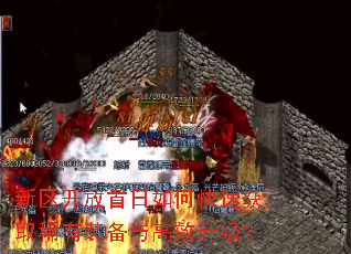 新区开放首日如何快速获取稀有装备与高效升级? 新区开放首日如何快速获取稀有装备与高效升级?