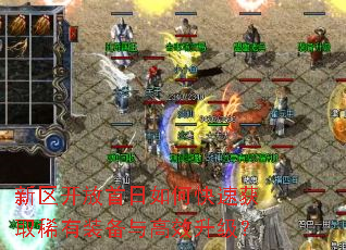 新区开放首日如何快速获取稀有装备与高效升级? 新区开放首日如何快速获取稀有装备与高效升级?