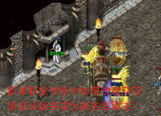 新单职业传奇中如何快速获取顶级装备并成为服务器霸主? 新单职业传奇中如何快速获取顶级装备并成为服务器霸主?