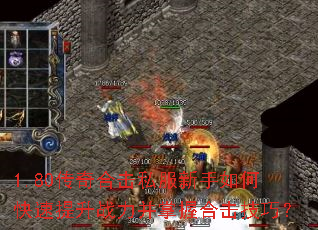 1.80传奇合击私服新手如何快速提升战力并掌握合击技巧? 1.80传奇合击私服新手如何快速提升战力并掌握合击技巧?