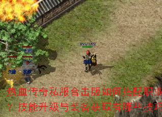 热血传奇私服合击版如何搭配职业组合?技能升级与装备获取有哪些技巧? 热血传奇私服合击版如何搭配职业组合?技能升级与装备获取有哪些技巧?