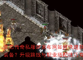 变态传奇私服SF发布网如何快速获取极品装备?升级路线与职业搭配技巧有哪些? 变态传奇私服SF发布网如何快速获取极品装备?升级路线与职业搭配技巧有哪些?