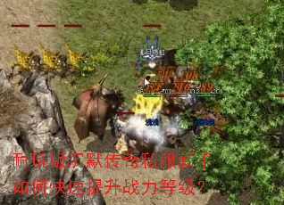 耐玩版沉默传奇私服新手如何快速提升战力等级? 耐玩版沉默传奇私服新手如何快速提升战力等级?