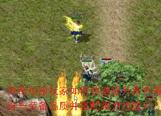 传奇私服玩家如何快速提升角色等级与装备品质并搭配强力技能? 传奇私服玩家如何快速提升角色等级与装备品质并搭配强力技能?