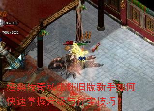 经典传奇私服怀旧版新手如何快速掌握升级与打宝技巧? 经典传奇私服怀旧版新手如何快速掌握升级与打宝技巧?