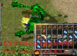 热血传奇单机版下载后如何快速升级?装备获取技巧有哪些? 热血传奇单机版下载后如何快速升级?装备获取技巧有哪些?