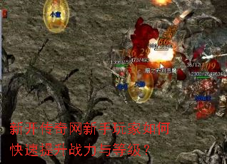 �¿����������������ο�������ս����ȼ���