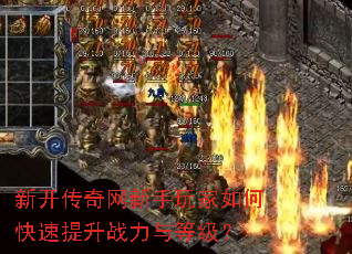 �¿����������������ο�������ս����ȼ���